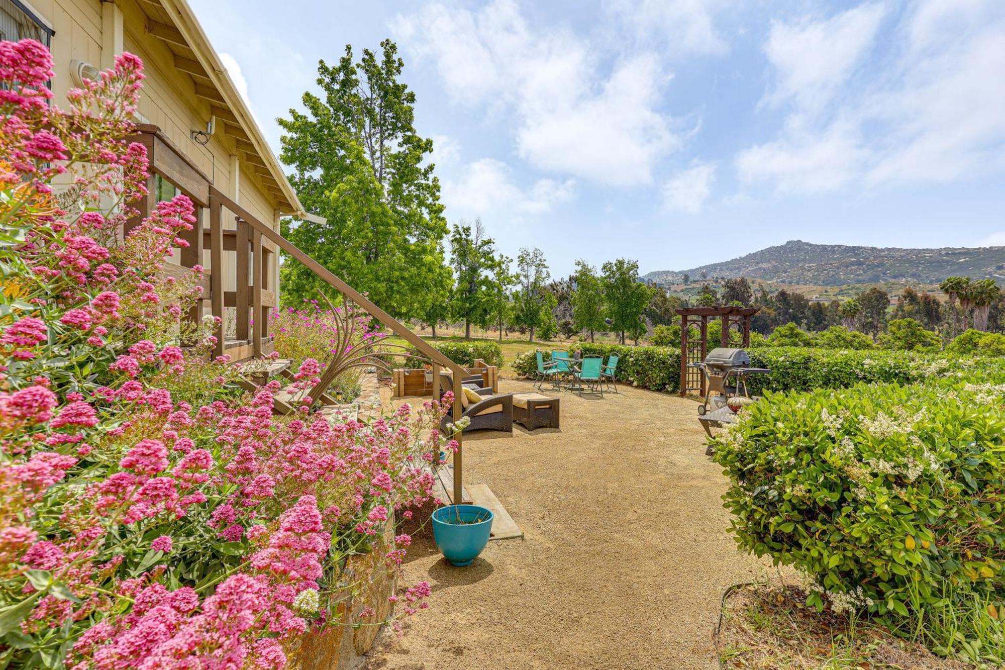 Вілла Escondido Vineyard Estate Walk To Wineries! Екстер'єр фото