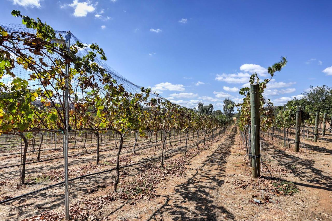 Вілла Escondido Vineyard Estate Walk To Wineries! Екстер'єр фото