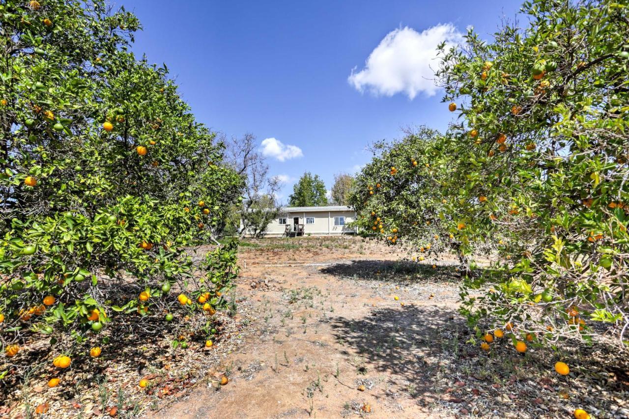 Вілла Escondido Vineyard Estate Walk To Wineries! Екстер'єр фото